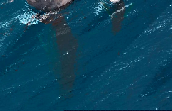 Casa Hacienda Jaguar - Foto 60