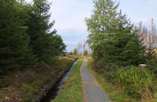Gemütliche Ferienwohnung am Nationalpark Harz mit Parkplatz am Haus - Foto 21