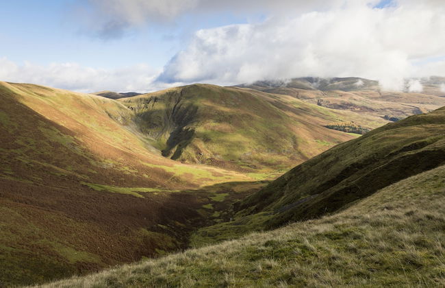 Moffat Manor Holiday Resort - Photo 46