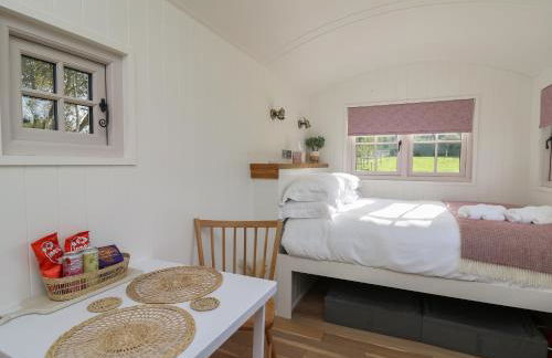 Dragonfly Shepherd's Hut - Photo 9