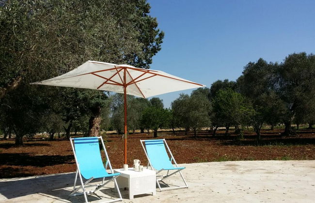 Trullo Sotto le Stelle - Foto 11