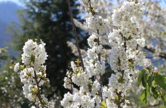 Melina's House - Foto 33