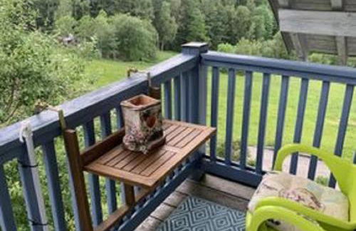 Ferienland Sonnenwald Fewo 46 und Studio 50 in Schöfweg Bayerischer Wald - Foto 31