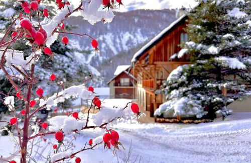 CASA-Joubarbe Super 4p terrasse plein sud Arvieux - Foto 13