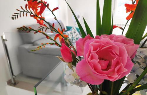 Raio do Sol - Apartamento Turístico - Foto 6