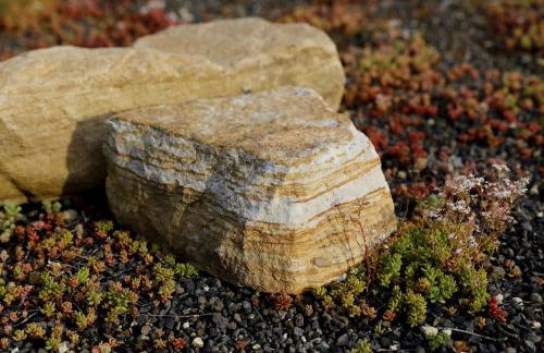 Barrierefreie Ferienwohnungen am Wasserturm Landau - Südpfalz - Foto 39