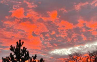 Drewniany dom w brzozowisku - Foto 49