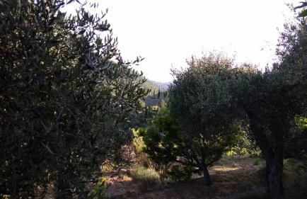 la porta del sole appartamento nell'oliveto - Foto 9