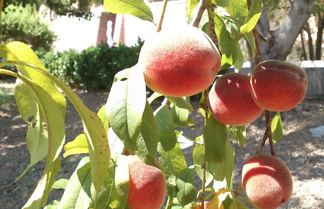 Stratos Villas - Foto 32