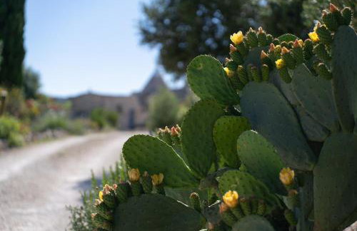 Trullo Theodoro Puglia - Foto 27