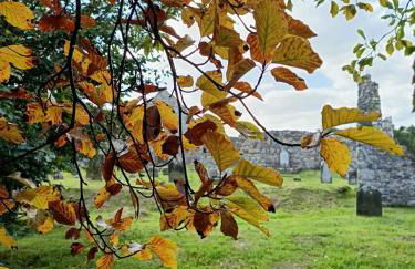 Rowan Tree Cottage, Ballycastle - Foto 21