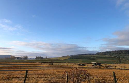 Ferienhaus Küstelnest - Foto 29