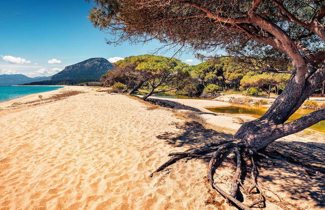 Idyllic Residence Cala Viola Studio Sleeps Num1375 - Foto 27