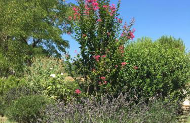 Domaine de la Bastidonne - Foto 50