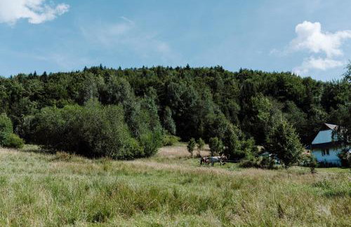 Willa Juszczyn - Foto 72