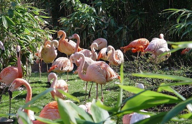 Hanomag Quartier - Foto 20