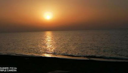 Stella marina - Foto 3