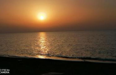 Stella marina - Foto 3