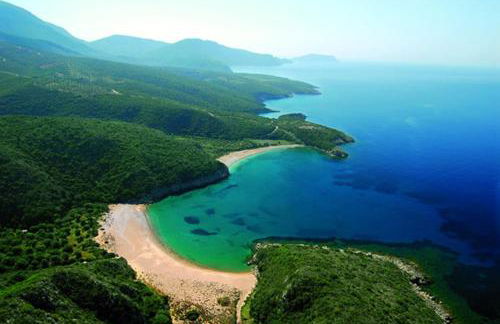 Avocado house - Photo 12