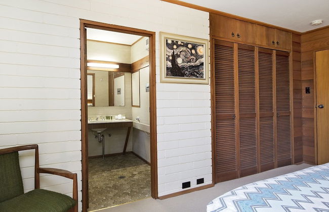 Grey Kangaroo- On Lake Jindabyne foreshore - Foto 5