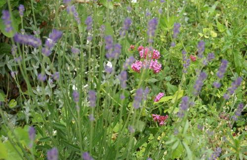 Holiday Home in Saint-Beauzire with Garden and Private Terrace - Foto 22