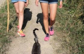 Gîte de France Chez baptiste 3 épis - Gîte de France 7 personnes MAE-0144 - Foto 7