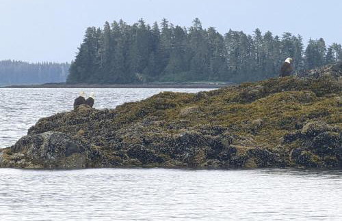 Accessible, Comfort, Convenient Location 106 - Foto 21