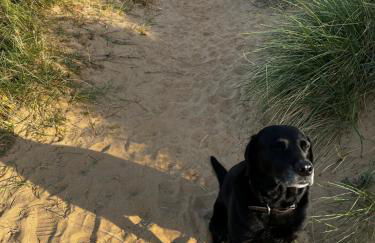 Smugglers Retreat - Foto 55