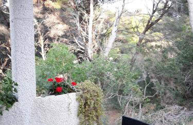 Apartments by the sea Cove Blaca, Mljet - 10416 - Photo 15