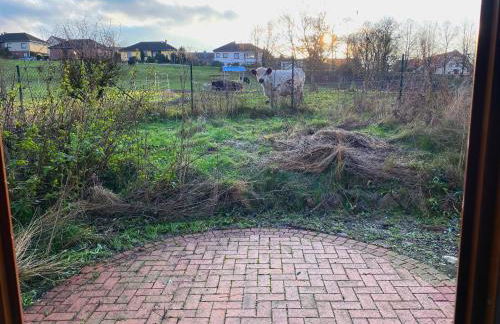 Ferienhaus von Alvensleben - Foto 15