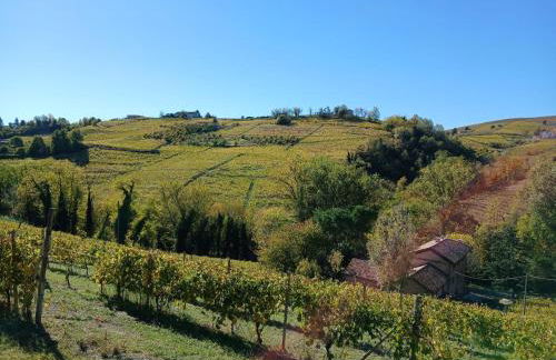 Agriturismo Cascina Frati - Foto 38