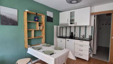 Studio 4p Chaleureux aux pieds des pistes & vue Pelvoux II - Foto 4, stove