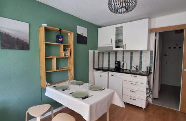 Studio 4p Chaleureux aux pieds des pistes & vue Pelvoux II - Foto 4