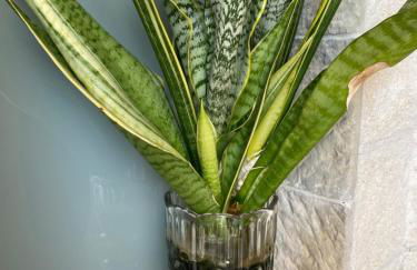 La Terraza - Foto 20