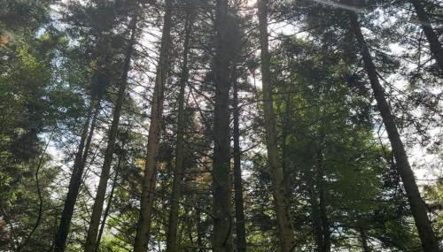 "La Botanique" Gîte de Charme dans un château de campagne & SPA - Foto 3