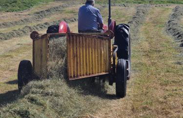 Ornum Self Catering Cottage - Foto 34