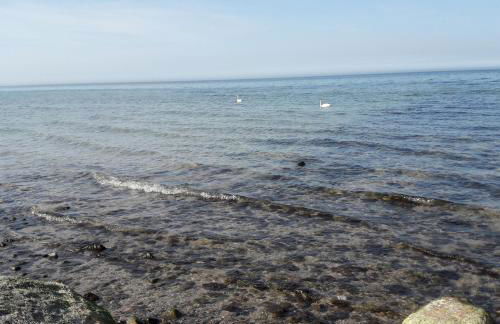 FeWo Windsbraut im Landhaus Immenbarg - Foto 18