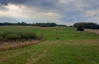 "Cztery Klony" - Foto 28