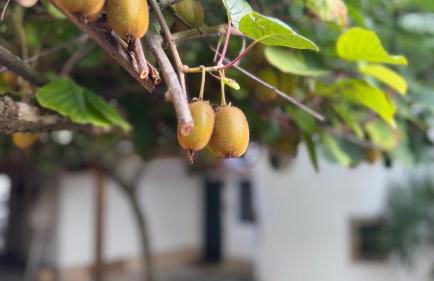 Design Penthouse im Schlossareal Deidesheim - Foto 38