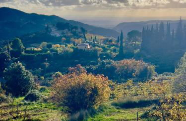 La belle histoire Gîte Ventoux - Foto 15