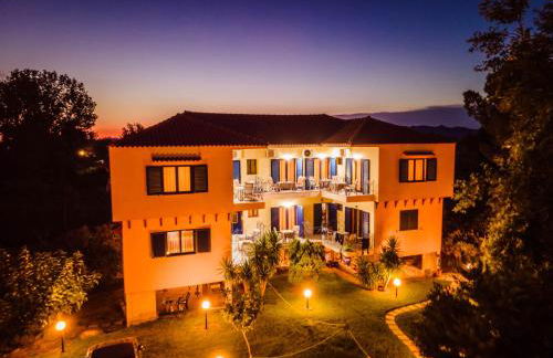 Viki Studios - Foto 4