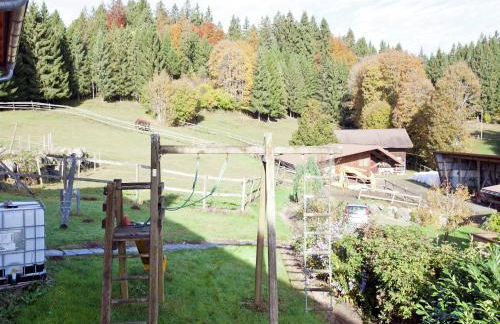 Apartment in Dachsberg-urberg - Foto 48