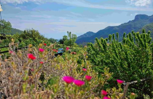 CASA VACANZE - Anna Holiday Home - Foto 1