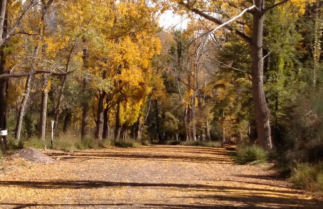 Las Retamas - Foto 6