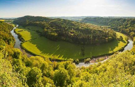 Hilly Haven & Luxury Wagon in the Forest of Dean - Foto 58