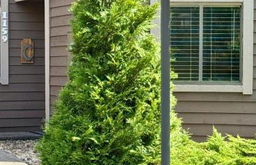 Contemporary Ski Condo - Foto 42