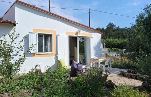 Nova Aurora - Foto 7