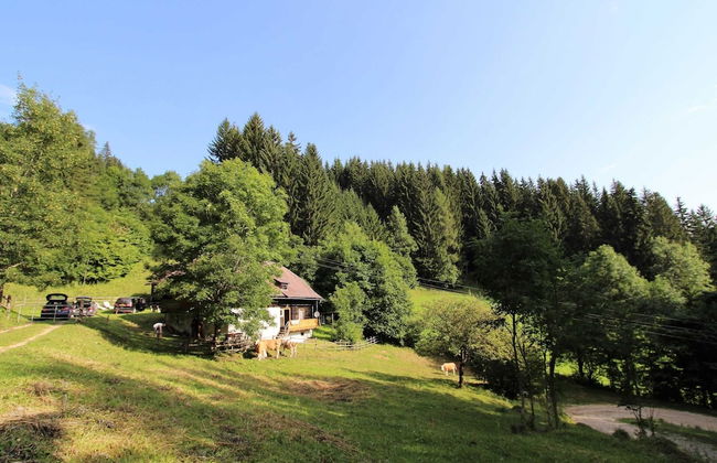 Spacious Chalet with Sauna near Ski Area in Wolfsberg - Foto 35