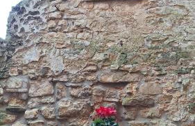 La Casetta di Cri - Foto 30