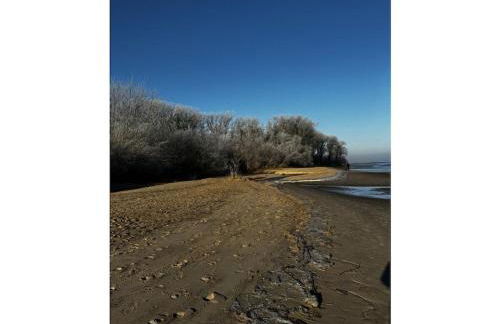 Michael's Elbe Dream - Foto 11